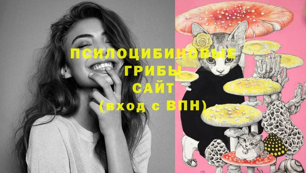 MDMA Premium VHQ Арсеньев