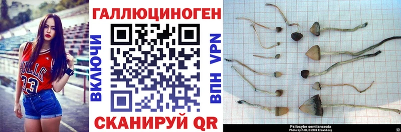 mega как войти Раменское Галлюциногенные грибы GOLDEN TEACHER